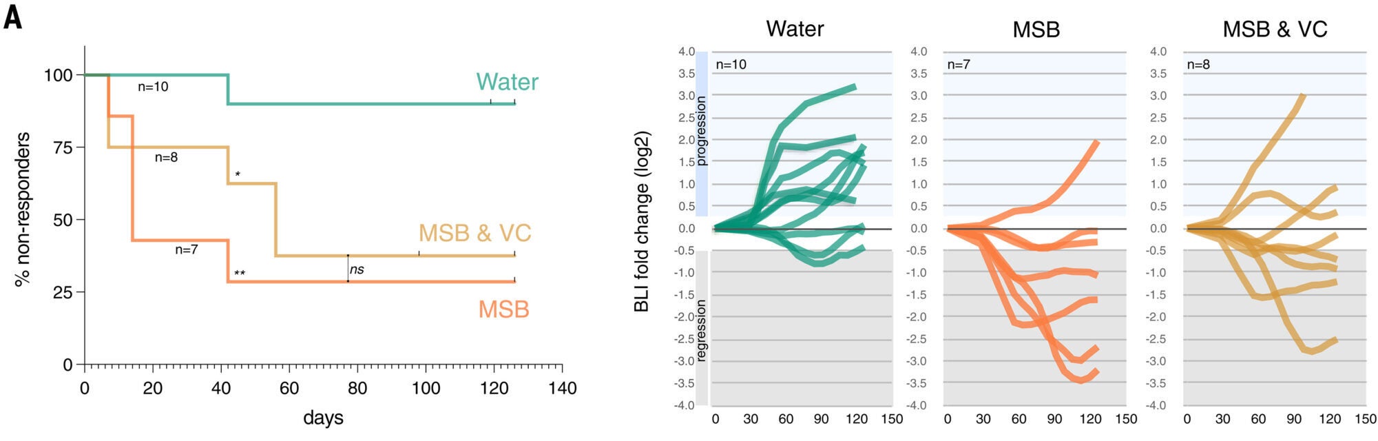 MSB suppresses PC progression and induces oxidative stress. Kaplan-Meier analysis of treatment response as defined by four consecutive BLI measurements showing partial response using RECIST criteria. 
