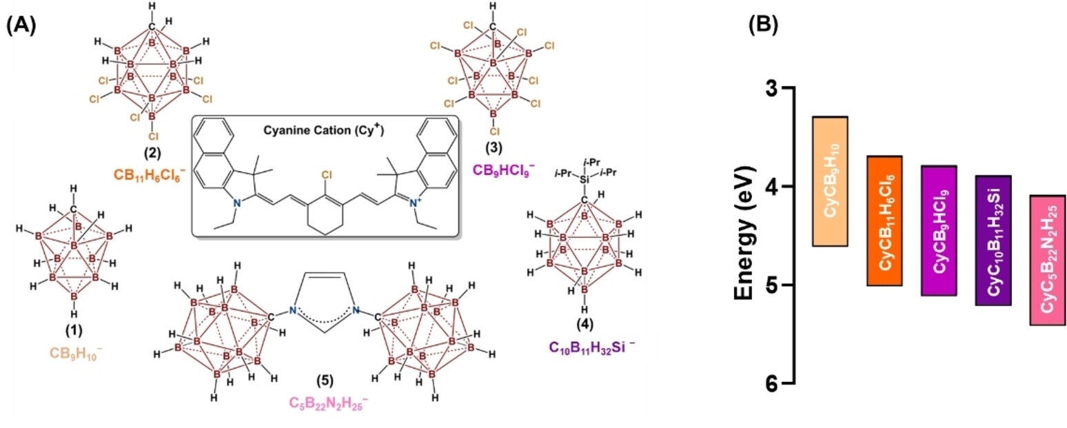 Cyanine-carborane photosensitizers are potent inhibitors of breast cancer cellular viability.