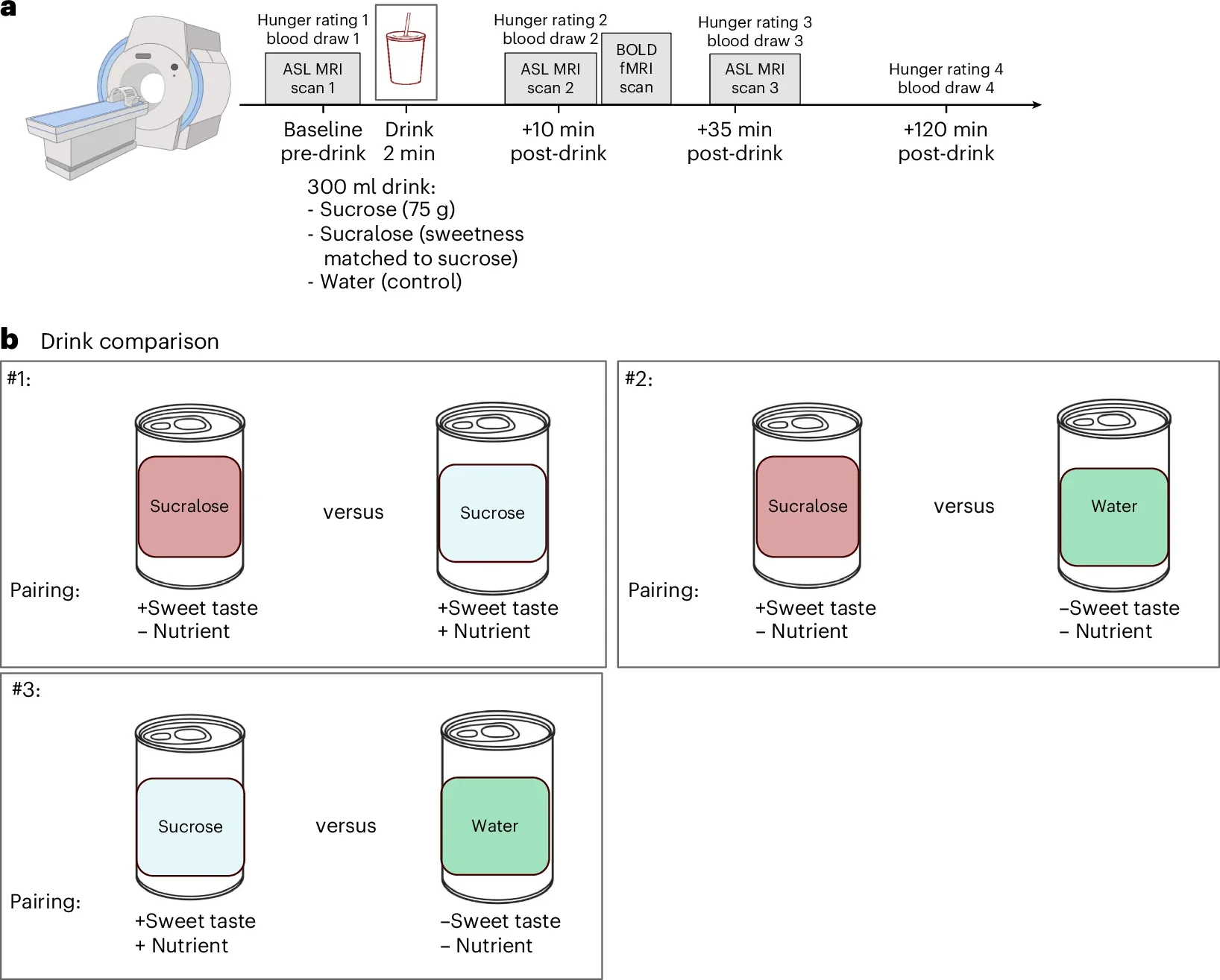 Schematic of study design. a, fMRI visit timeline. b, Drink comparisons for sucralose, sucrose and water for three different testing conditions. BOLD indicates blood oxygen level-dependent. 