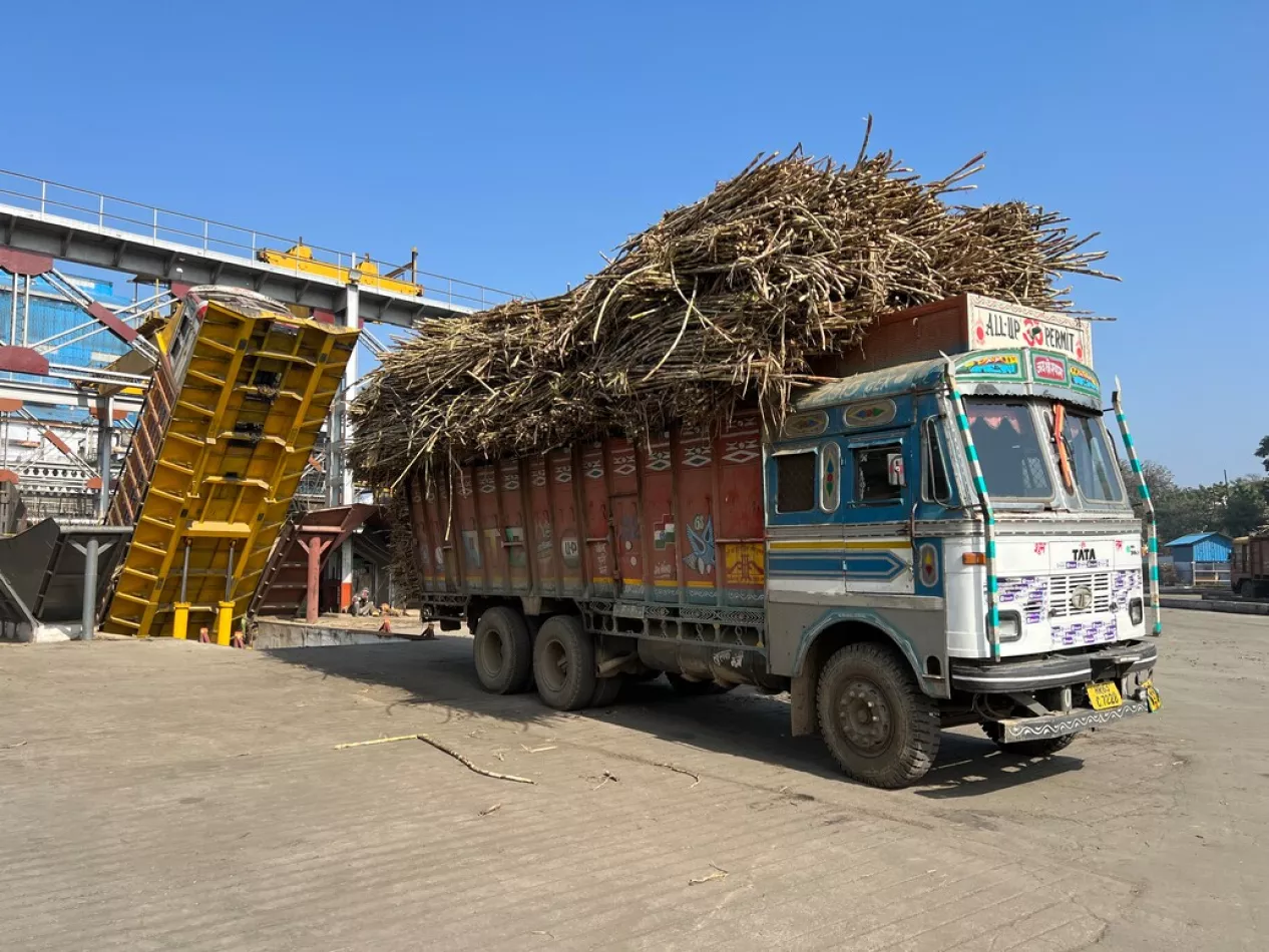 Sugarcane processing, Daurala factory, Uttar Pradesh, India. 