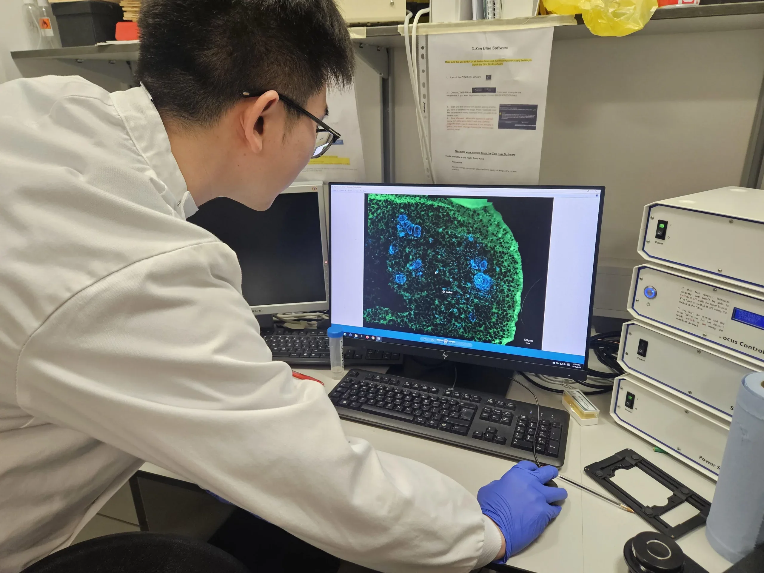 Xuechen Zhang looking at tooth cells on a computer