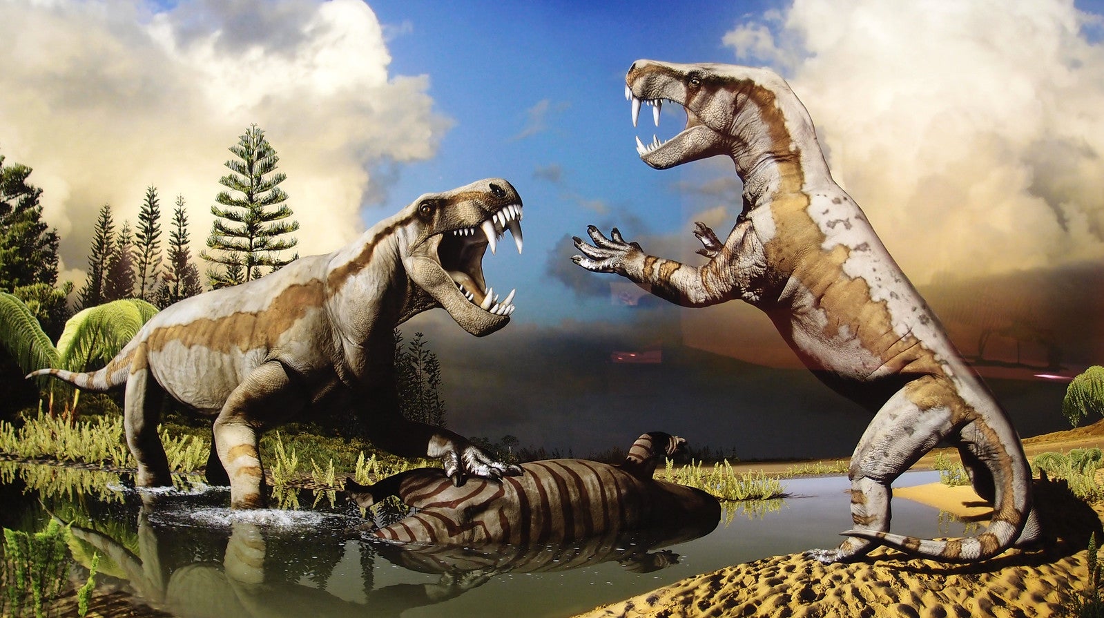 Archeologists uncover historical fossil from the oldest recognized saber-toothed predator