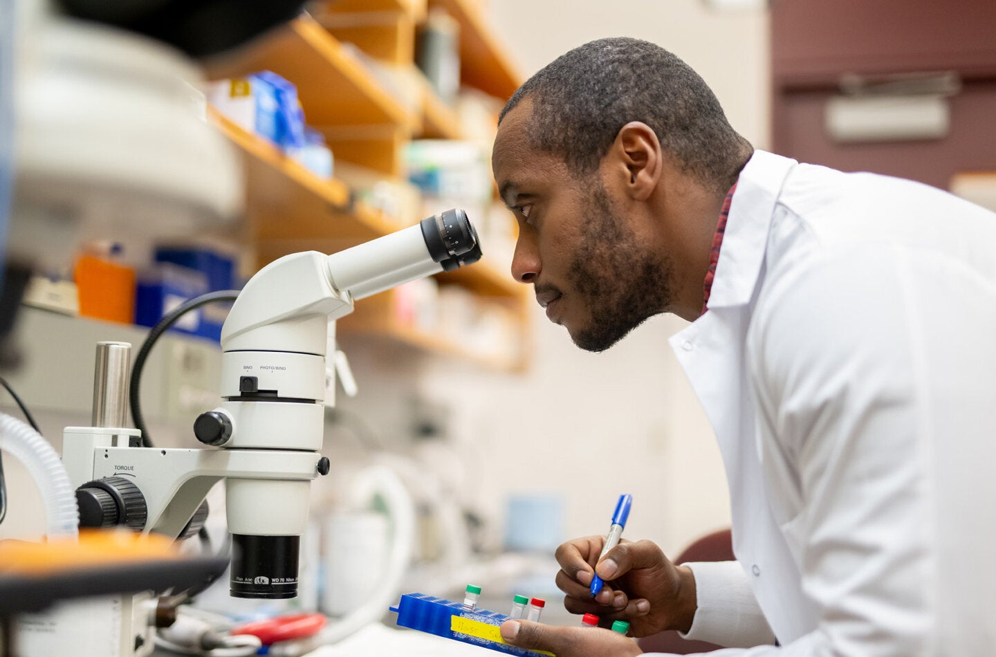 Daniel Abebayehu, an assistant professor at the UVA School of Engineering and Applied Science.