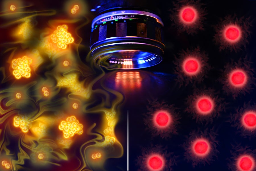 Using single-atom-resolved microscopy, ultracold quantum gases composed of two types of atoms reveal distinctly different spatial correlations — the bosons on the left exhibit bunching, while the fermions on the right display anti-bunching. Using single-atom-resolved microscopy, ultracold quantum gases composed of two types of atoms reveal distinctly different spatial correlations — the bosons on the left exhibit bunching, while the fermions on the right display anti-bunching. 