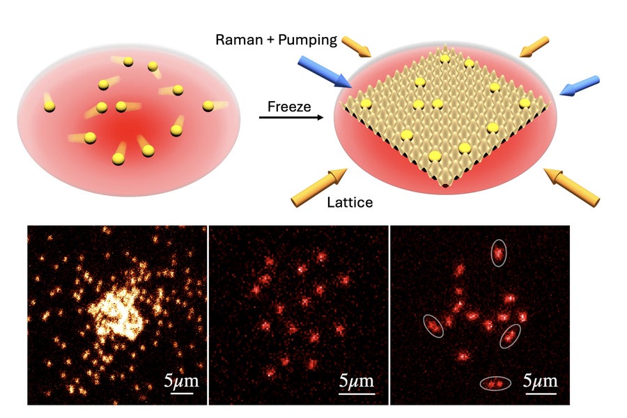 Two renderings show how itinerant atoms in an atom trap (red) are suddenly frozen in place via an applied optical lattice and imaged via Raman sideband cooling. Bottom: Three microscope images show (left to right) bosonic 23Na forming a Bose-Einstein condensate; a single spin state in a weakly interacting 6Li Fermi mixture; and both spin states of a strongly interacting Fermi mixture, directly revealing pair formation.