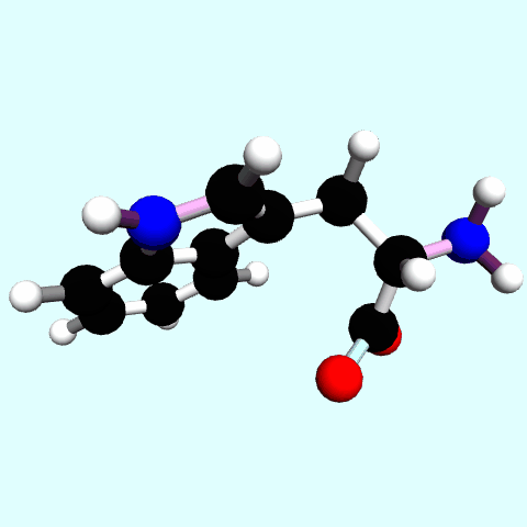 Tryptophan ball and stick model spinning
