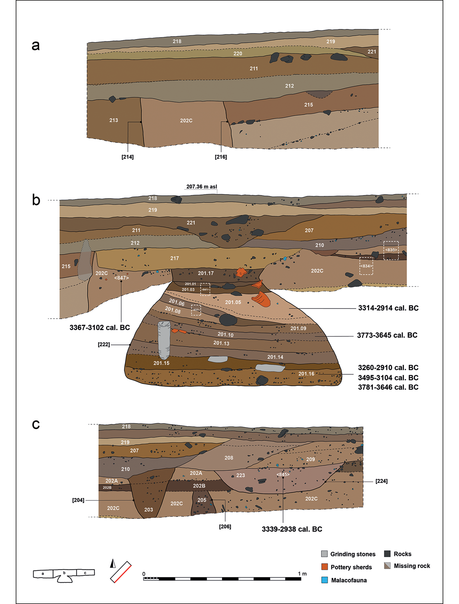 Section profile from trench 2 showing pit 222, stratigraphic units and associated radiocarbon dates. 