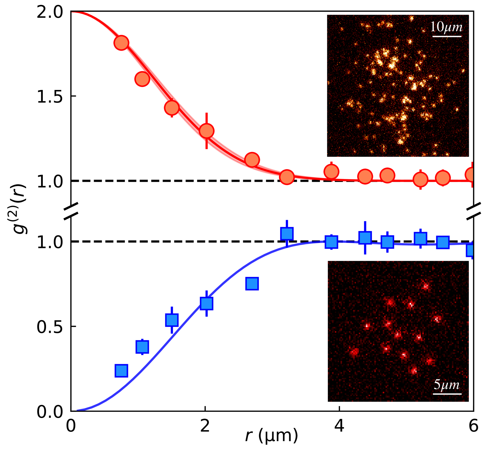 Pair correlation function of a thermal Bose gas (top) and a non-interacting Fermi gas