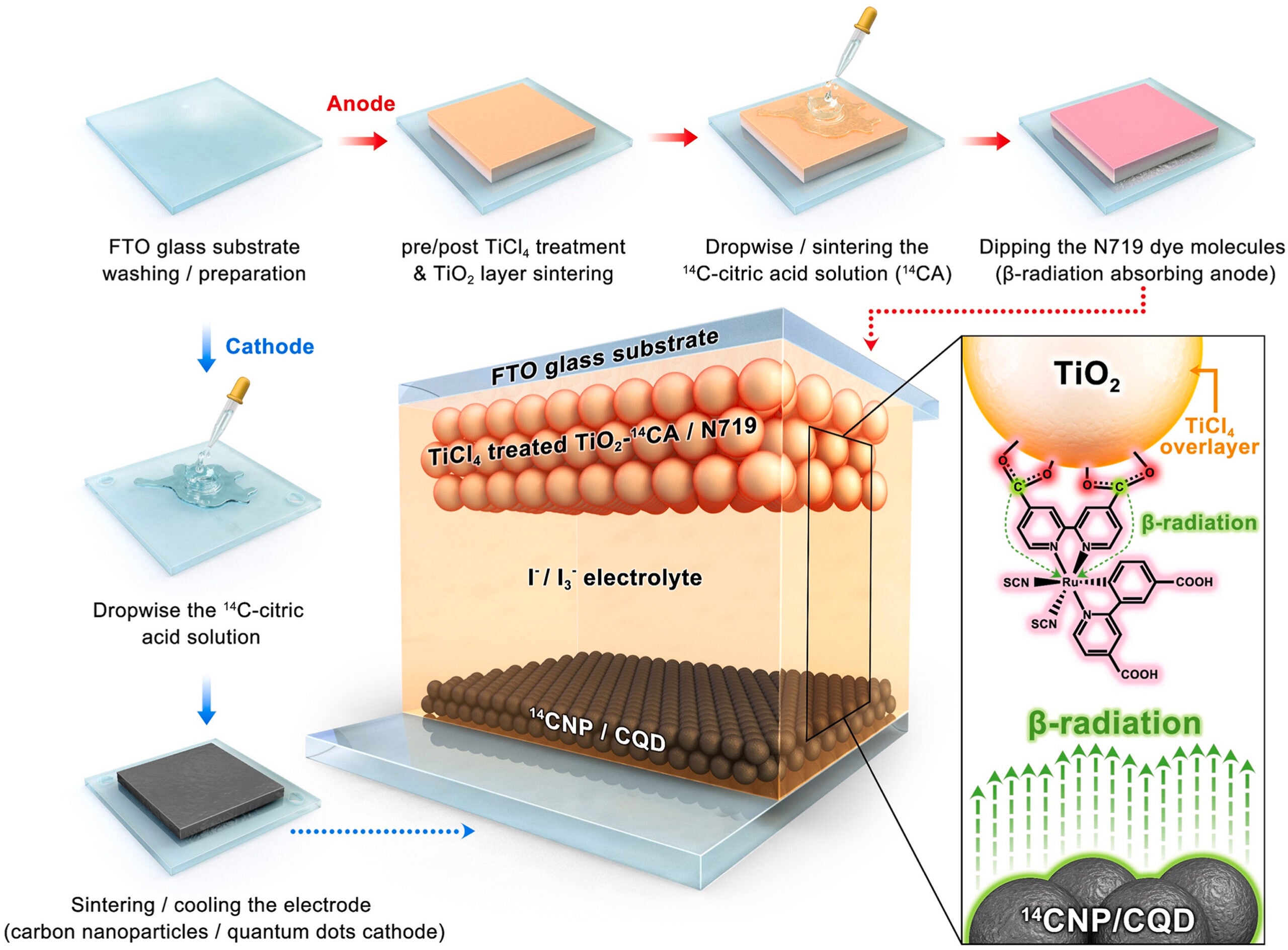 Schematic showing the manufacturing method for the beta cell. 