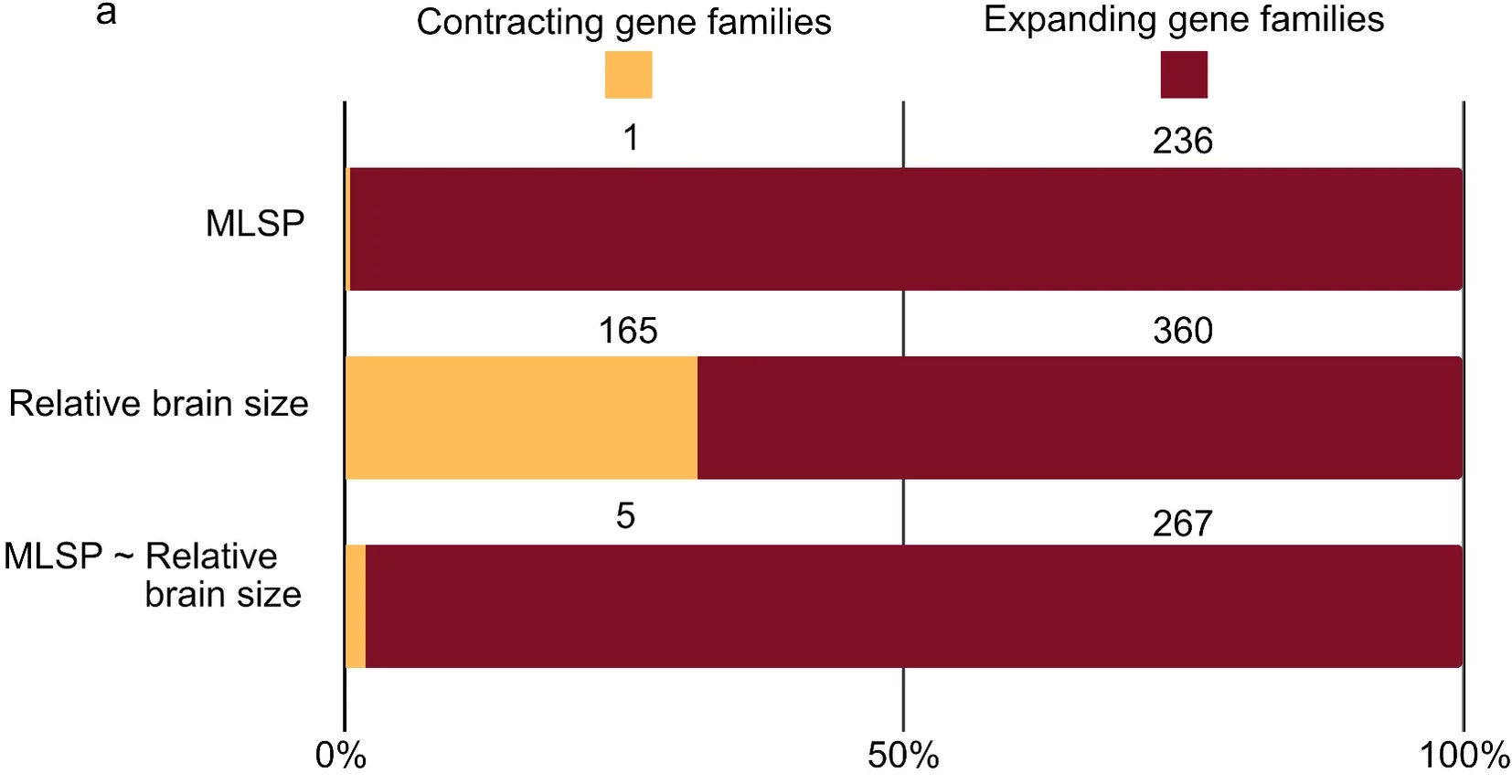 The number of gene families expanding and contracting associated with MLSP; relative brain size; and MLSP corrected by relative brain size. 