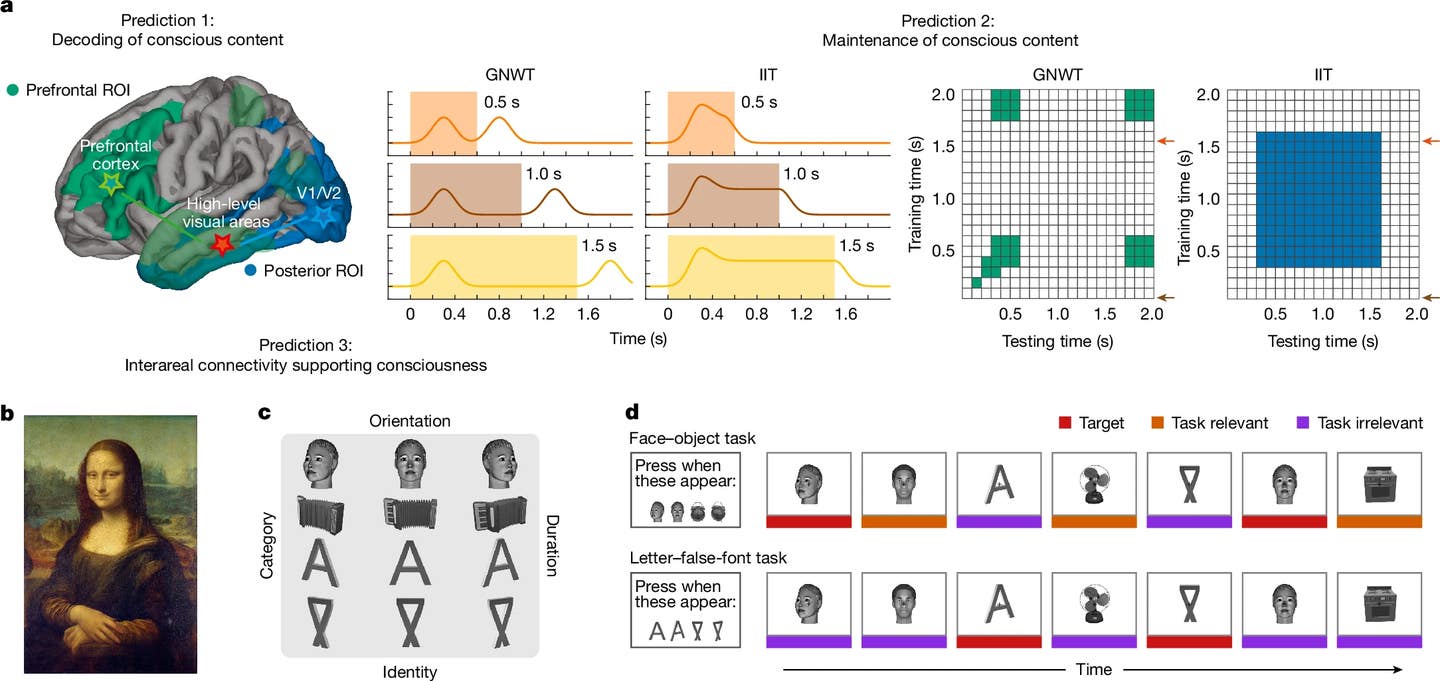 Groundbreaking experiment sheds new light on the origins of