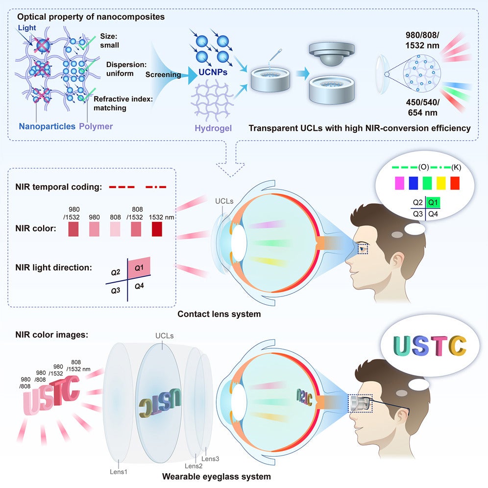 Graphical abstract of the study parameters.