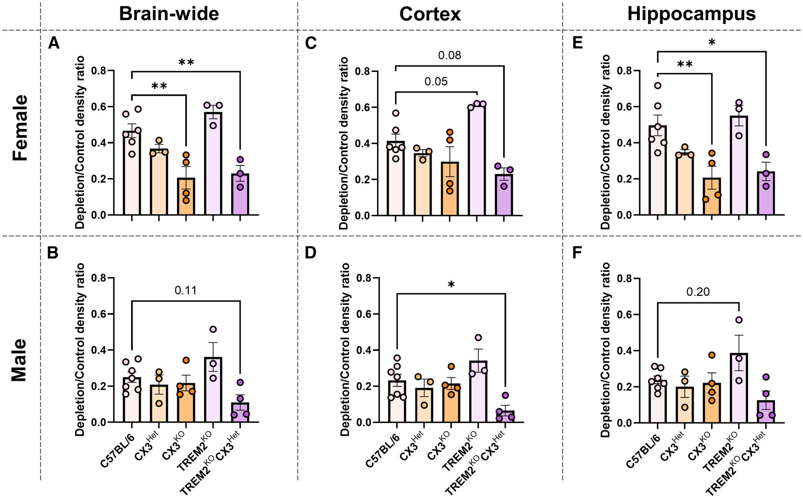  Sex-dependent depletion efficacies among commonly used transgenic mouse models