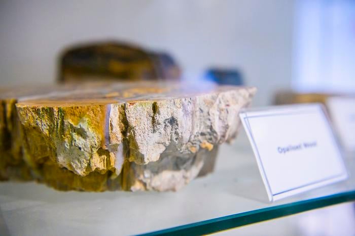 Modern continental rocks carry chemical signatures from the very start of our planet’s history, challenging current theories about plate tectonics.