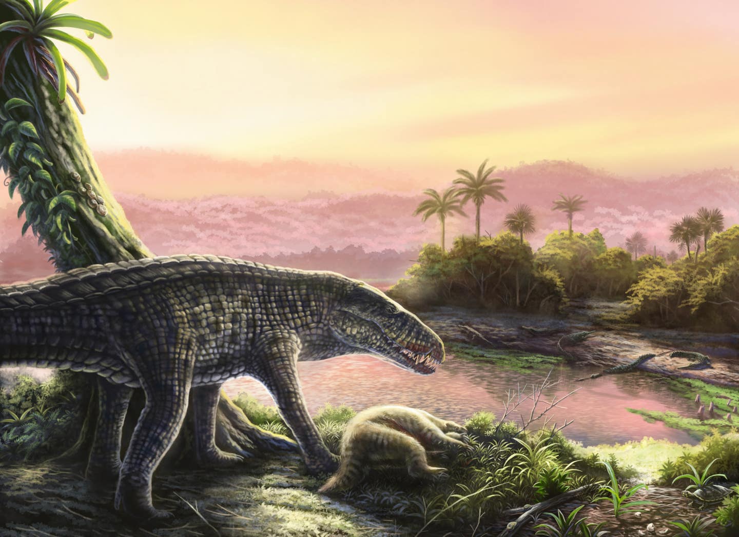 New fossil finds reveal land-dwelling crocodile-like predators once ruled the Caribbean