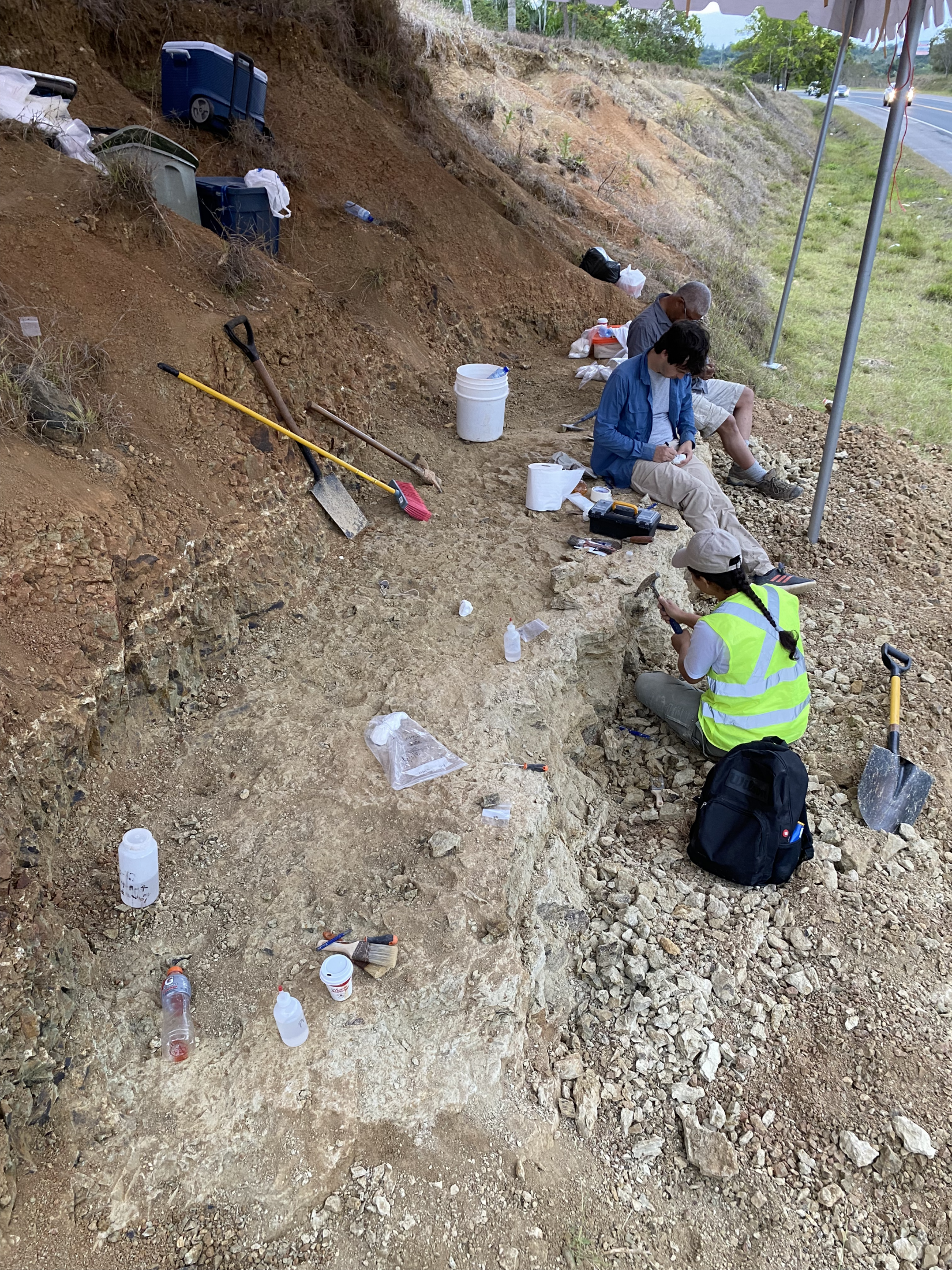 Scientists have to act quickly when a new fossil bed is discovered in the Caribbean, racing against erosion and growth of new vegetation.