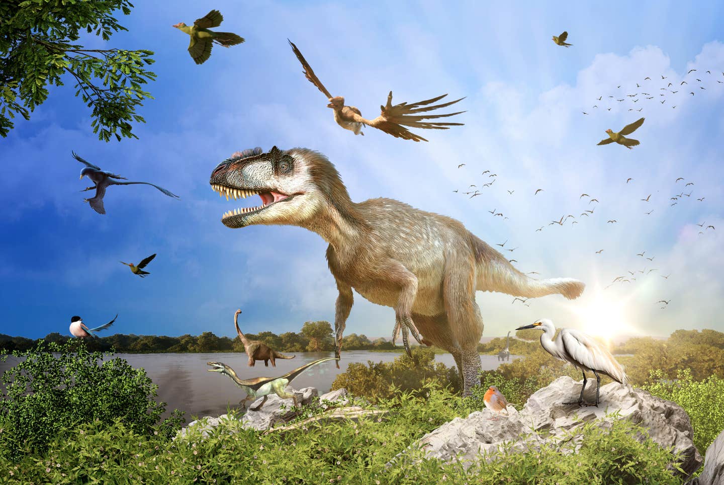 Scientists block a key gene in bird embryos to recreate dinosaur-like feathers and reveal secrets of evolution.