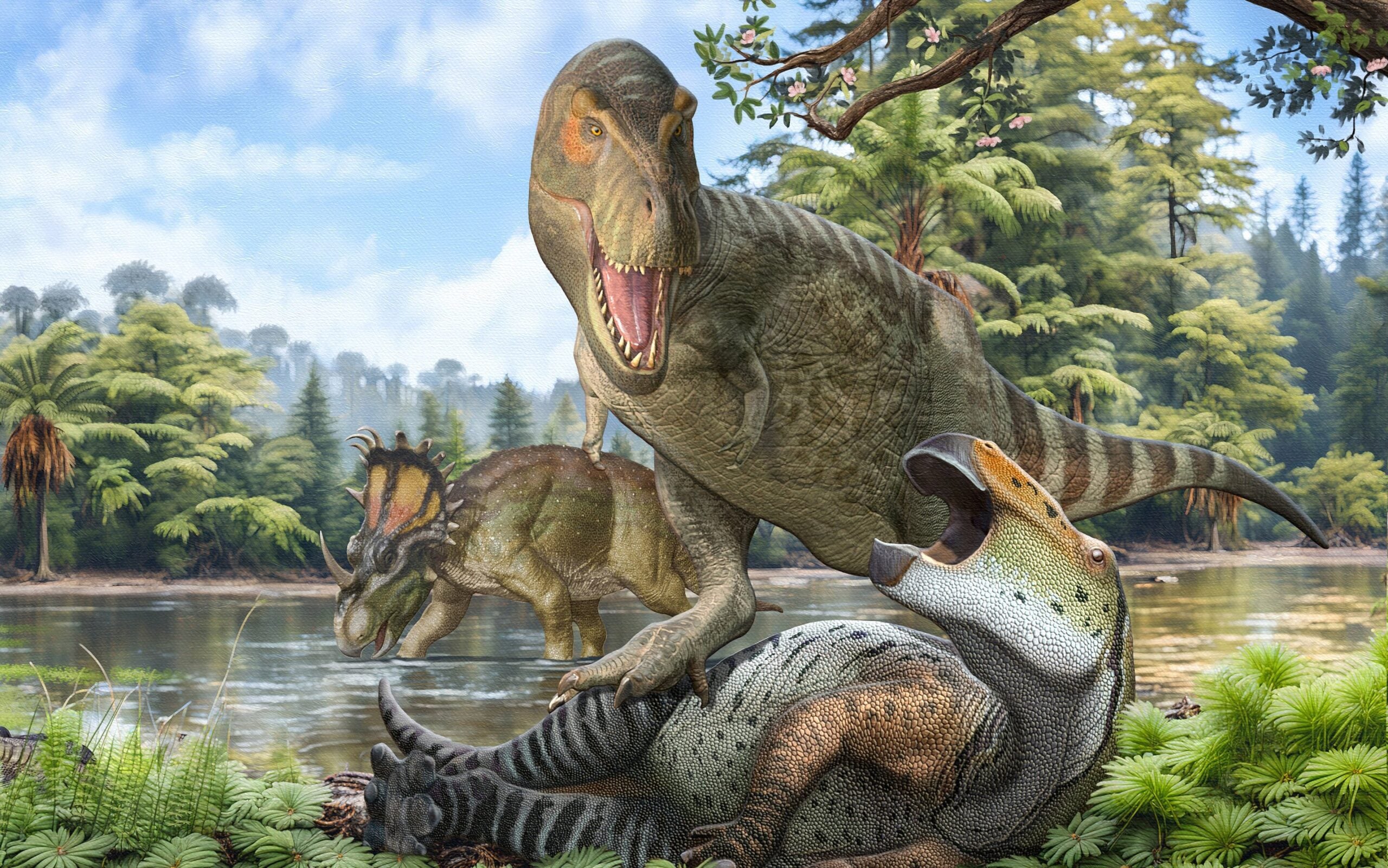 Tyrannosaurus rex evolved in North America, but its direct ancestor came from Asia.