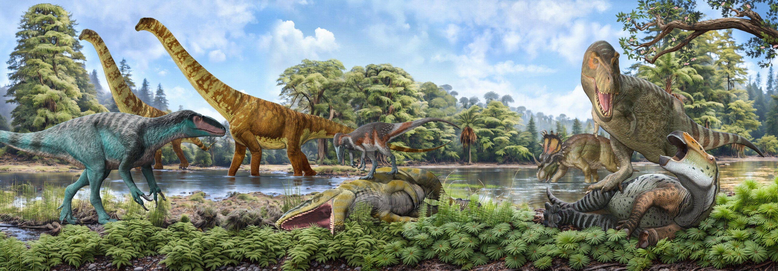 The piece illustrates the disparity of the Northern and Southern hemisphere's evolution of terrestrial Cretaceous faunas after the Cretaceous Thermal Maximum.