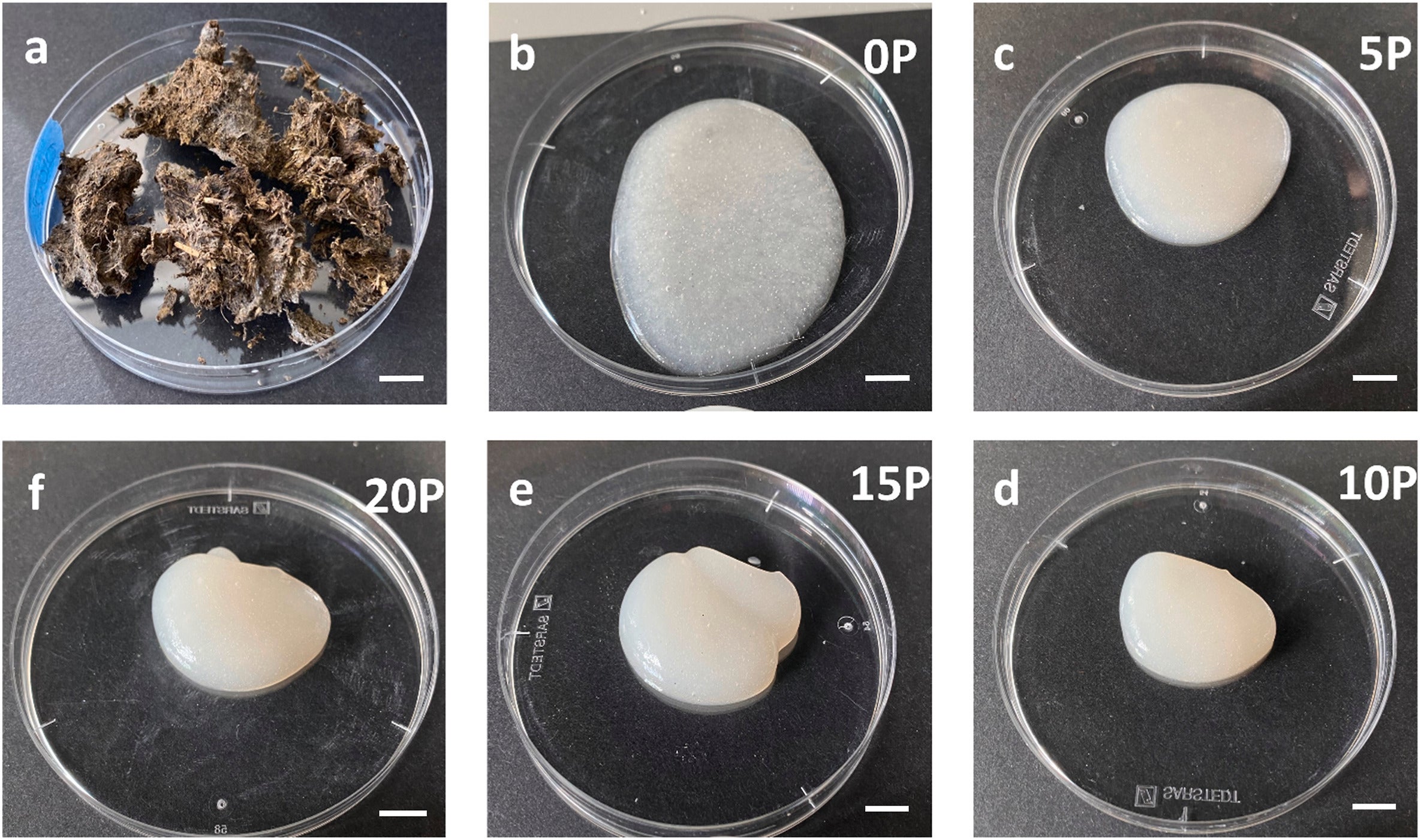 Photographs of (a) dried cow dung crust, (b) cellulose slurry after extraction, and (c–f) the cellulose material obtained using the homogenization process of 5, 10, 15, and 20 passes, respectively.