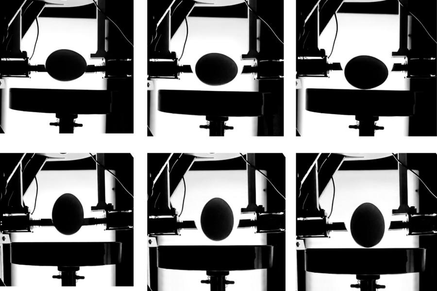 MIT engineering students put a common belief to the test by examining whether eggs are really strongest at their tips. Their experiments revealed that eggs dropped on their sides — not their tips — are far more resilient. 