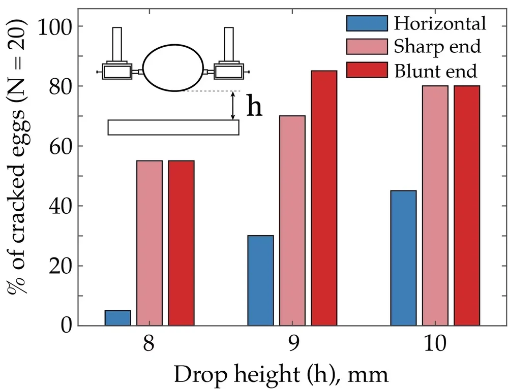 Percentage of eggs cracked when dropped from three different heights in various orientations. 