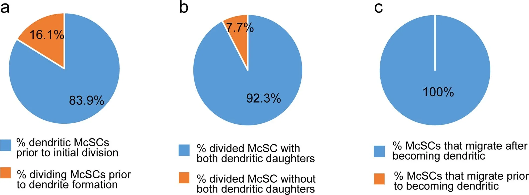 Quantification of dendrite state of McSCs by live imaging.