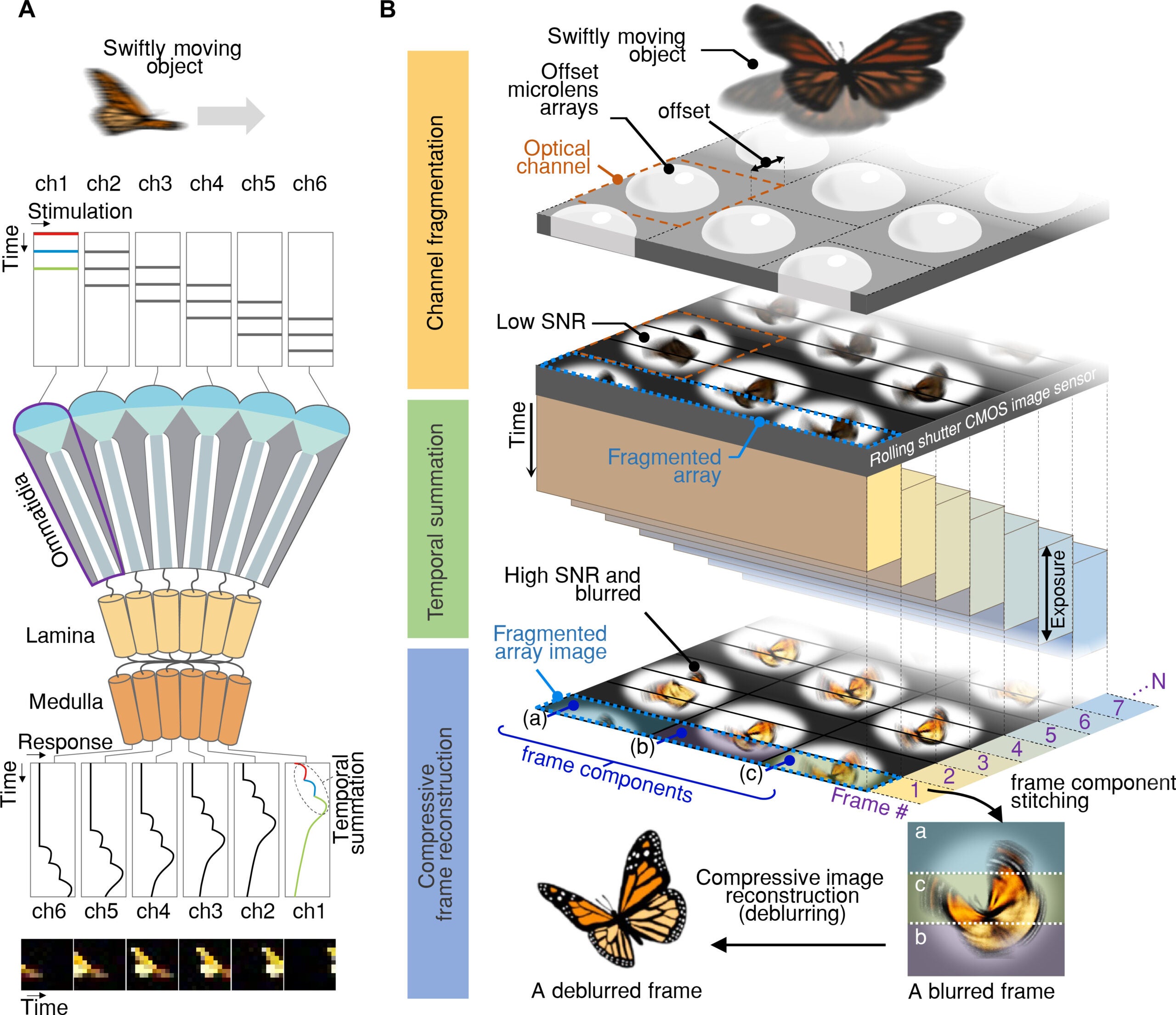 Schematic illustration for high-speed and HS-MAC.