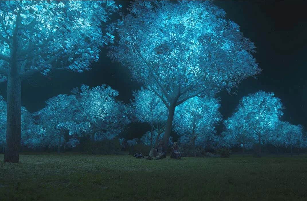 Plants might replace our current unsustainable urban electrical lighting grid.