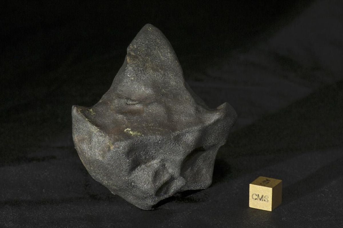 Aguas Zarcas meteorite with irregular surface features.