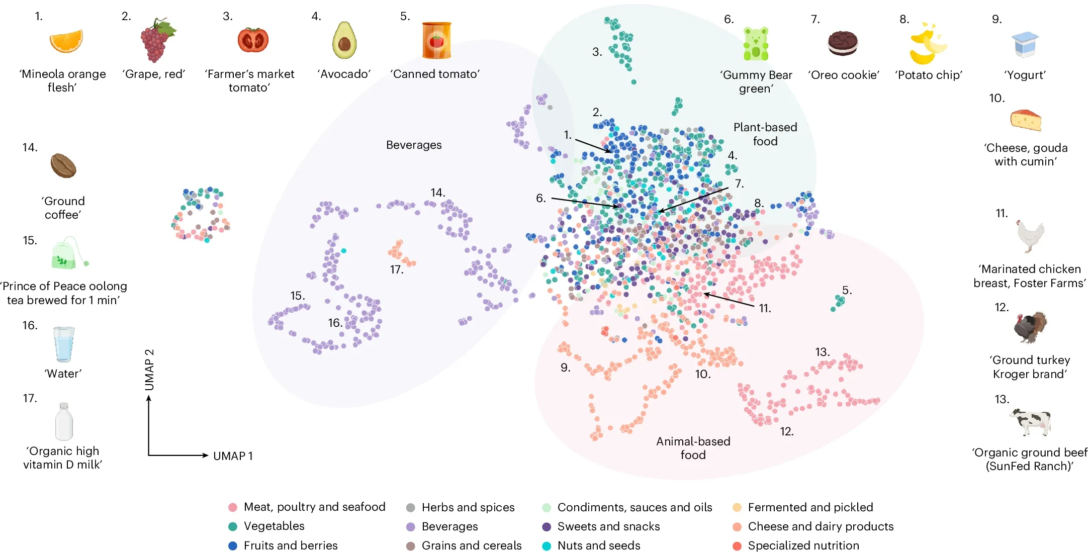 Sample-average DreaMS embeddings enable the sample-level analysis of metabolomics data, as exemplified on food LC–MS/MS datasets.