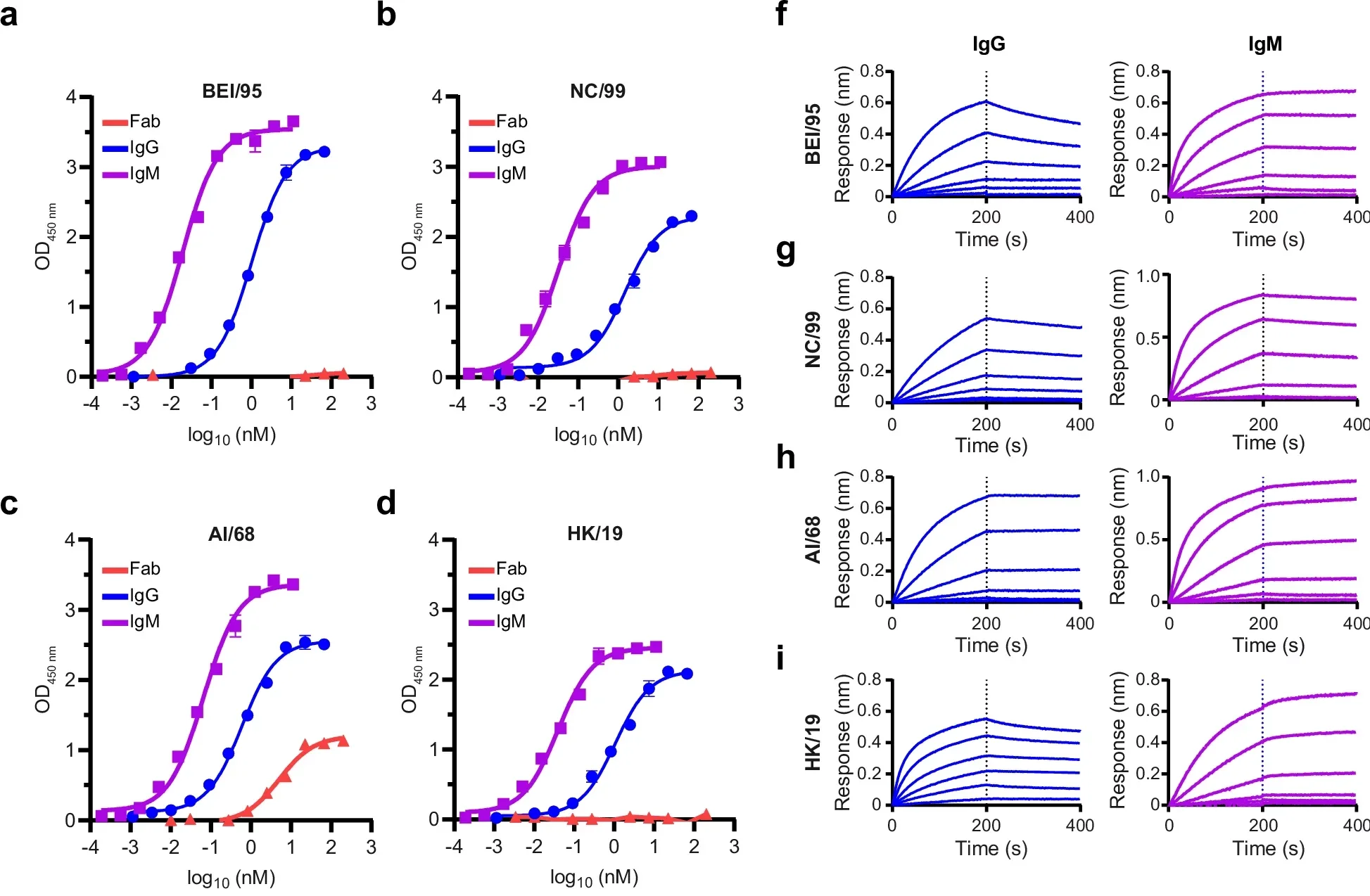 IgM-F045-092 antibody confers enhanced binding, blocking, and potent neutralization against antigenically distinct panel of IAV strains and HA proteins.