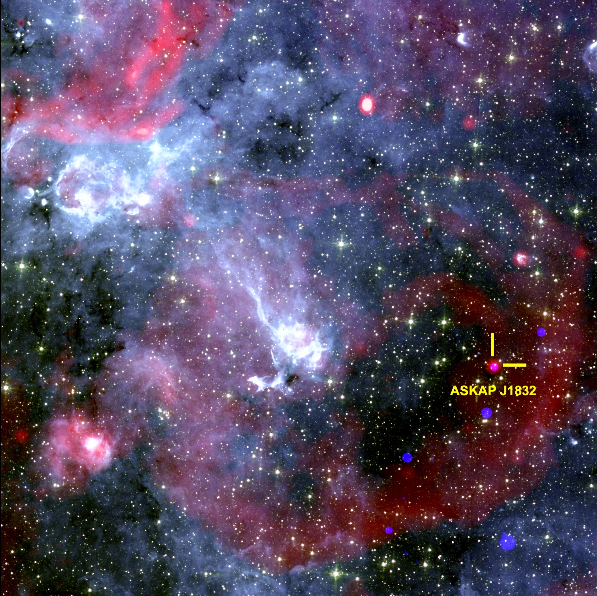 Astronomers Discover Unique Cosmic Object Emitting Radio Waves and X-rays