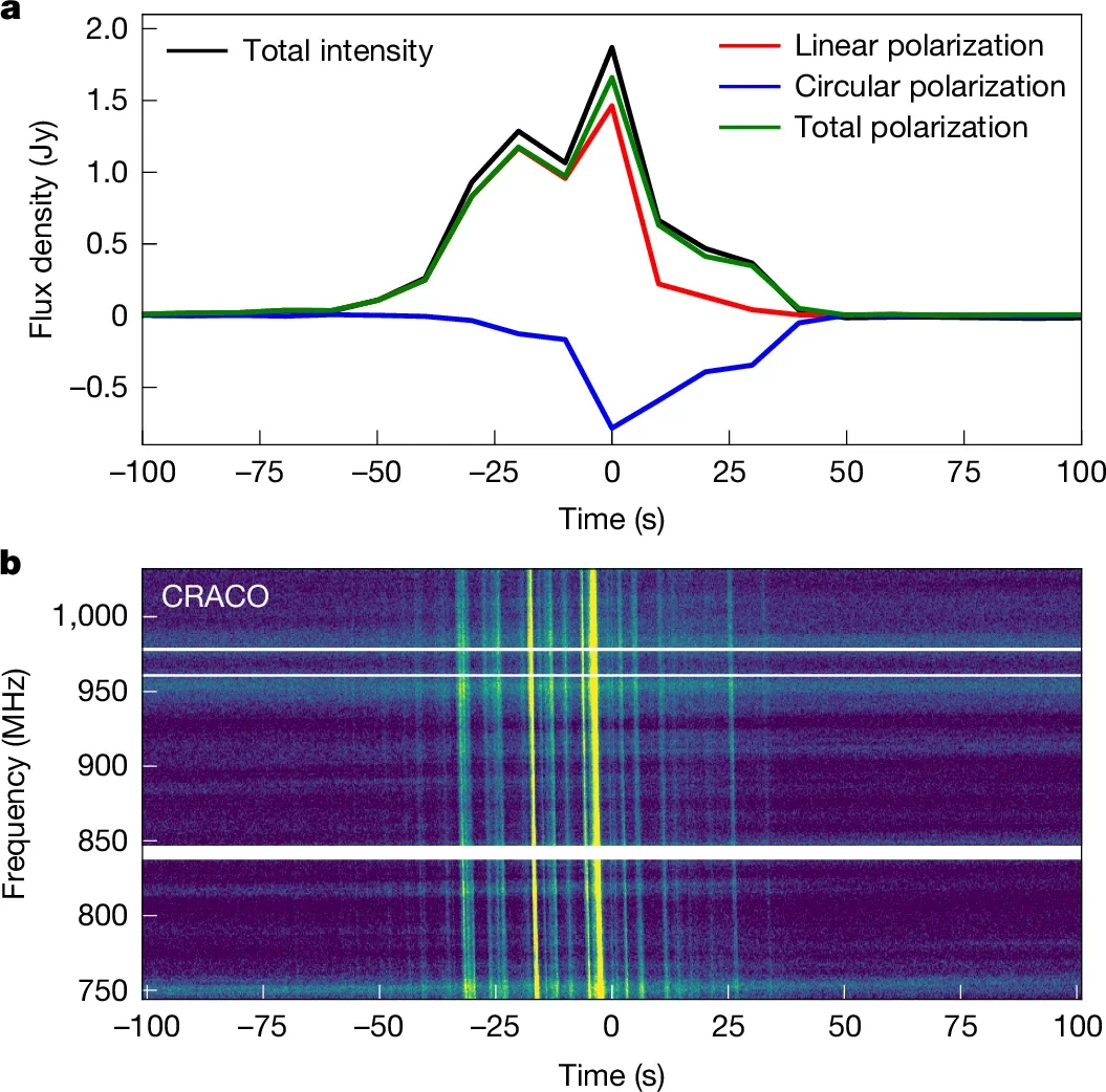 Dynamic spectra and lightcurve for the discovery observation of ASKAP J1832−0911.