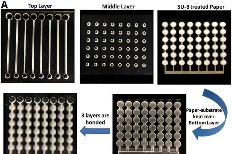 Paper-in-polymer-pond (PiPP) hybrid microfluidic microplate.