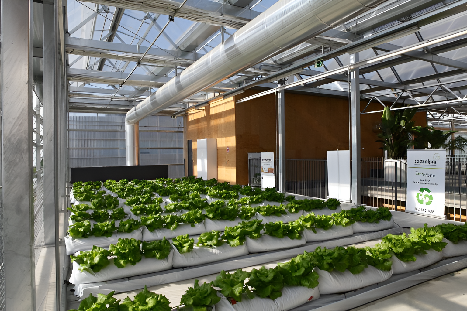 A rooftop greenhouse at UAB.