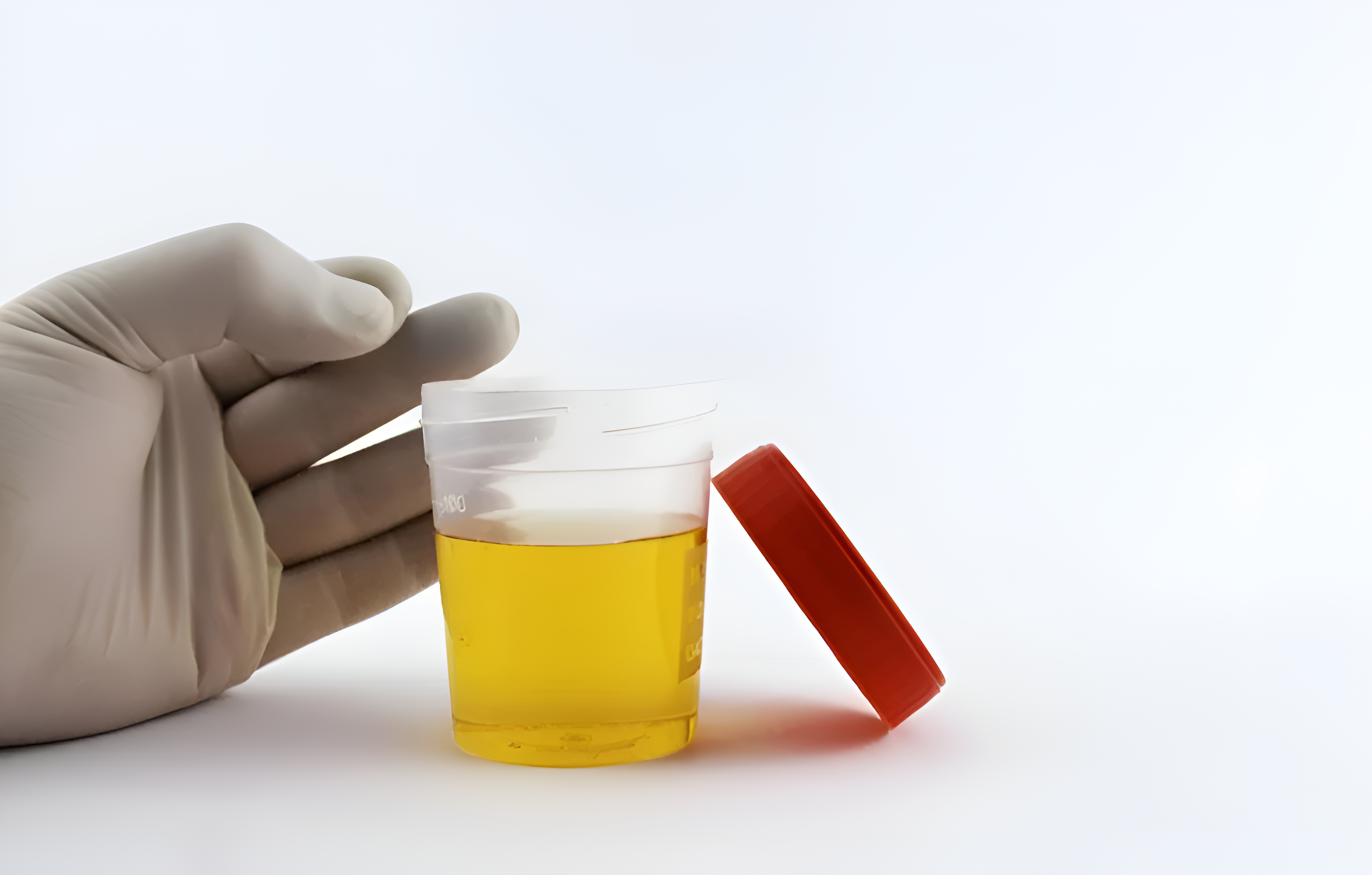 Researchers have shown that human urine can be recycled into sustainable fertilizer for urban agriculture, reducing CO₂ emissions, water consumption, and dependence on non-renewable resources.