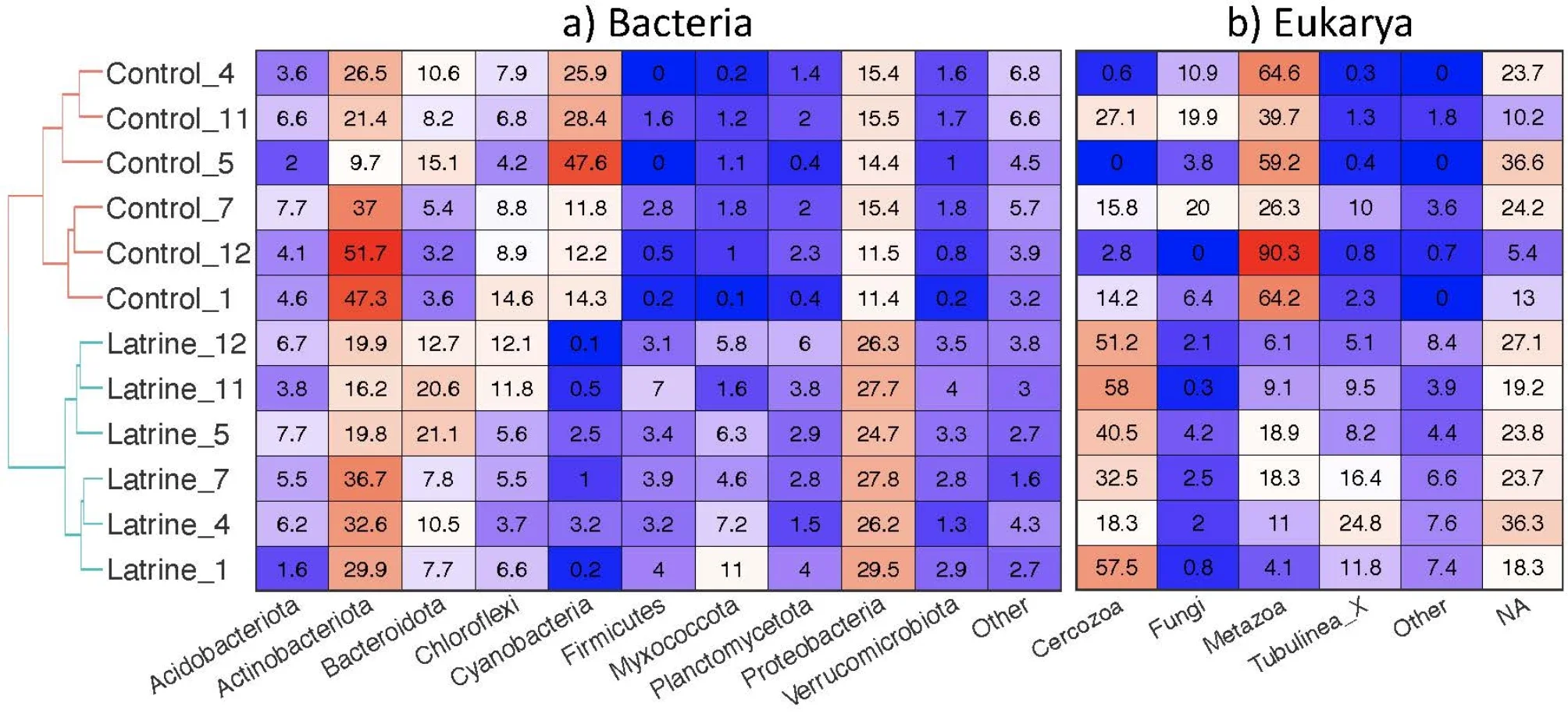 Heatmaps of bacterial phyla percent relative abundances and eukaryote taxonomic group percent relative abundances.