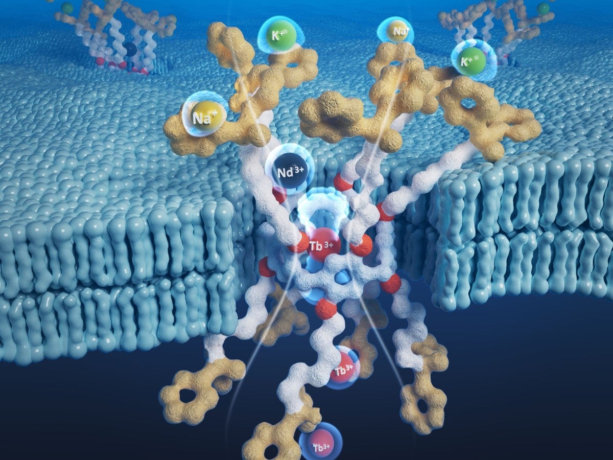 Rendering of artificial channels.