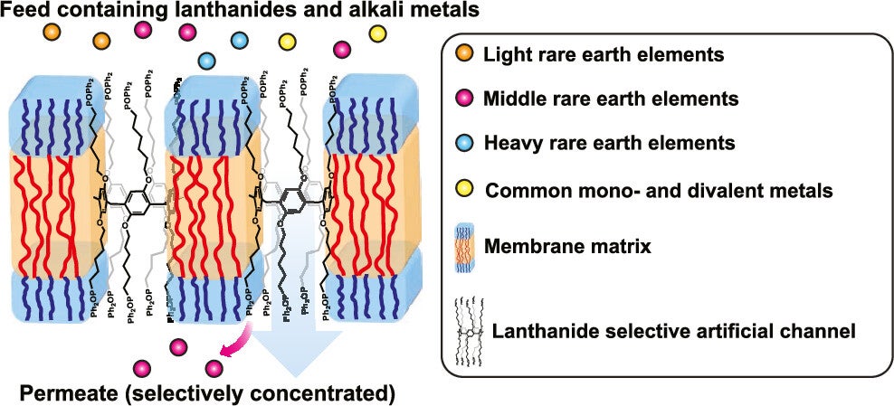 Graphical abstract representing the way artificial channels work. 