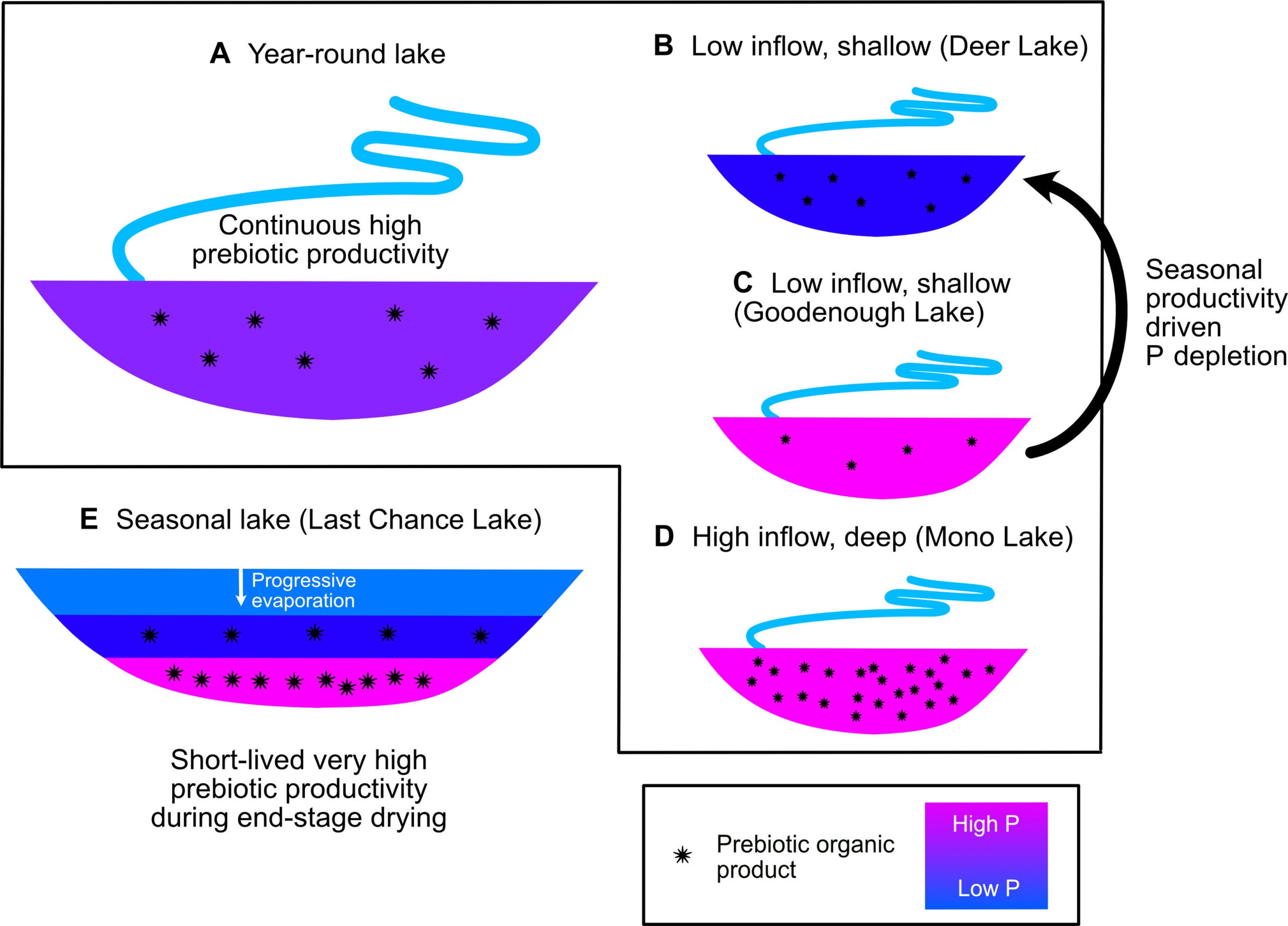 Hydrology plays a large part in determining P availability and sustainability.