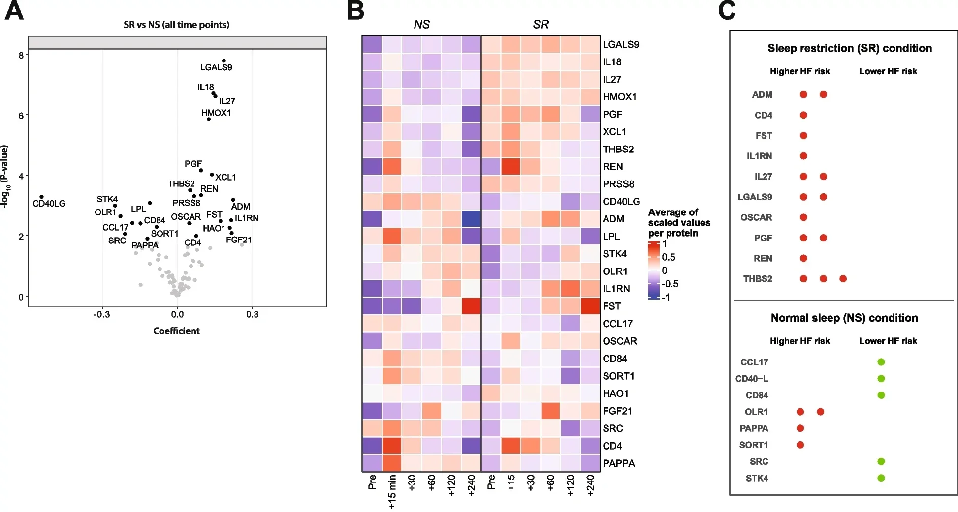 Heatmap showing acute exercise effects (+15 min vs. Pre-exercise) that were only significant in the NS condition.