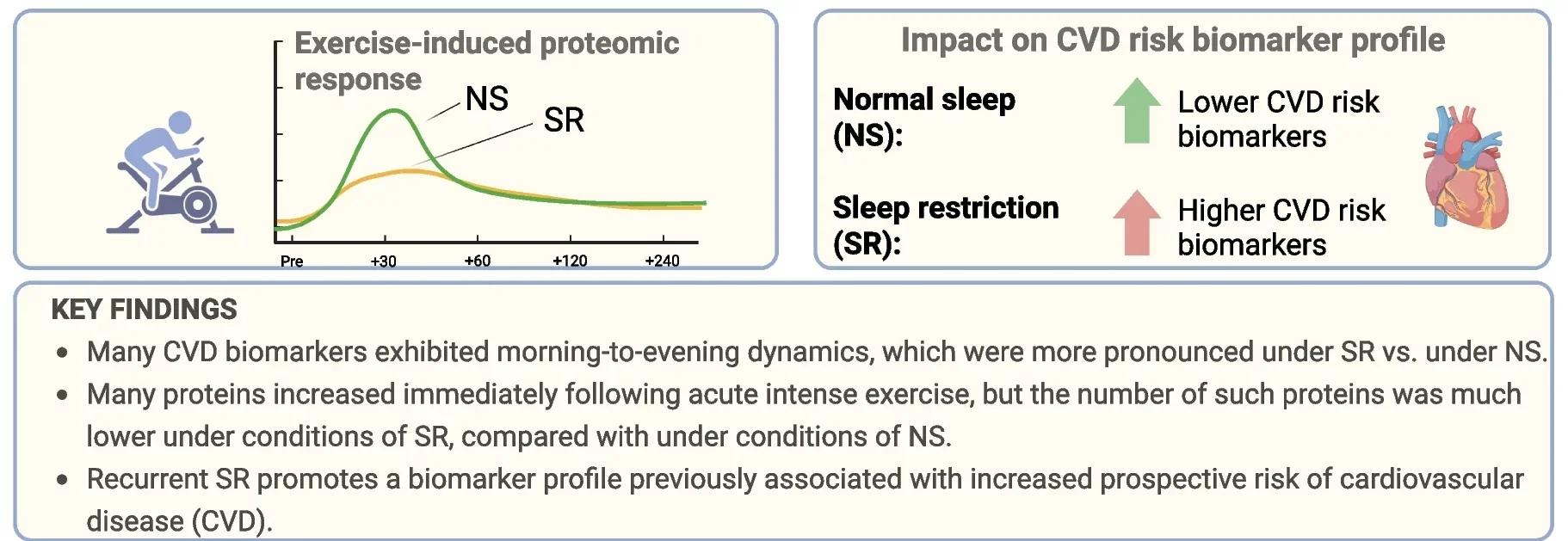 Summary of the present study findings