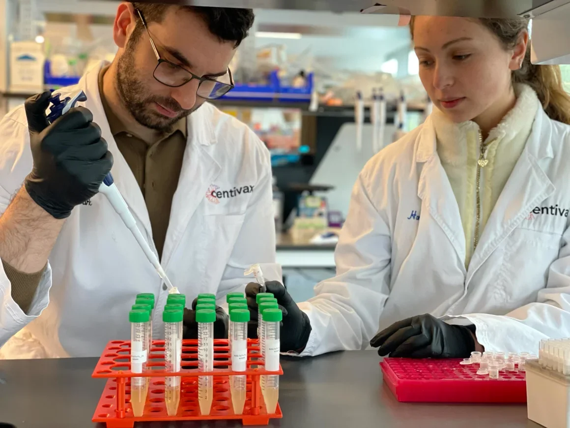Research coauthors Mark Bellin and Hannah Hirou craeting the antivenom. 