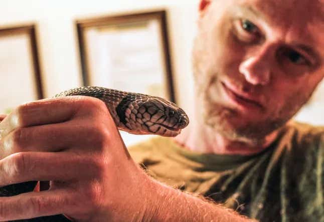 Tim Friede’s extreme self-immunization helped researchers craft a breakthrough universal antivenom that protects against 19 deadly snake species.
