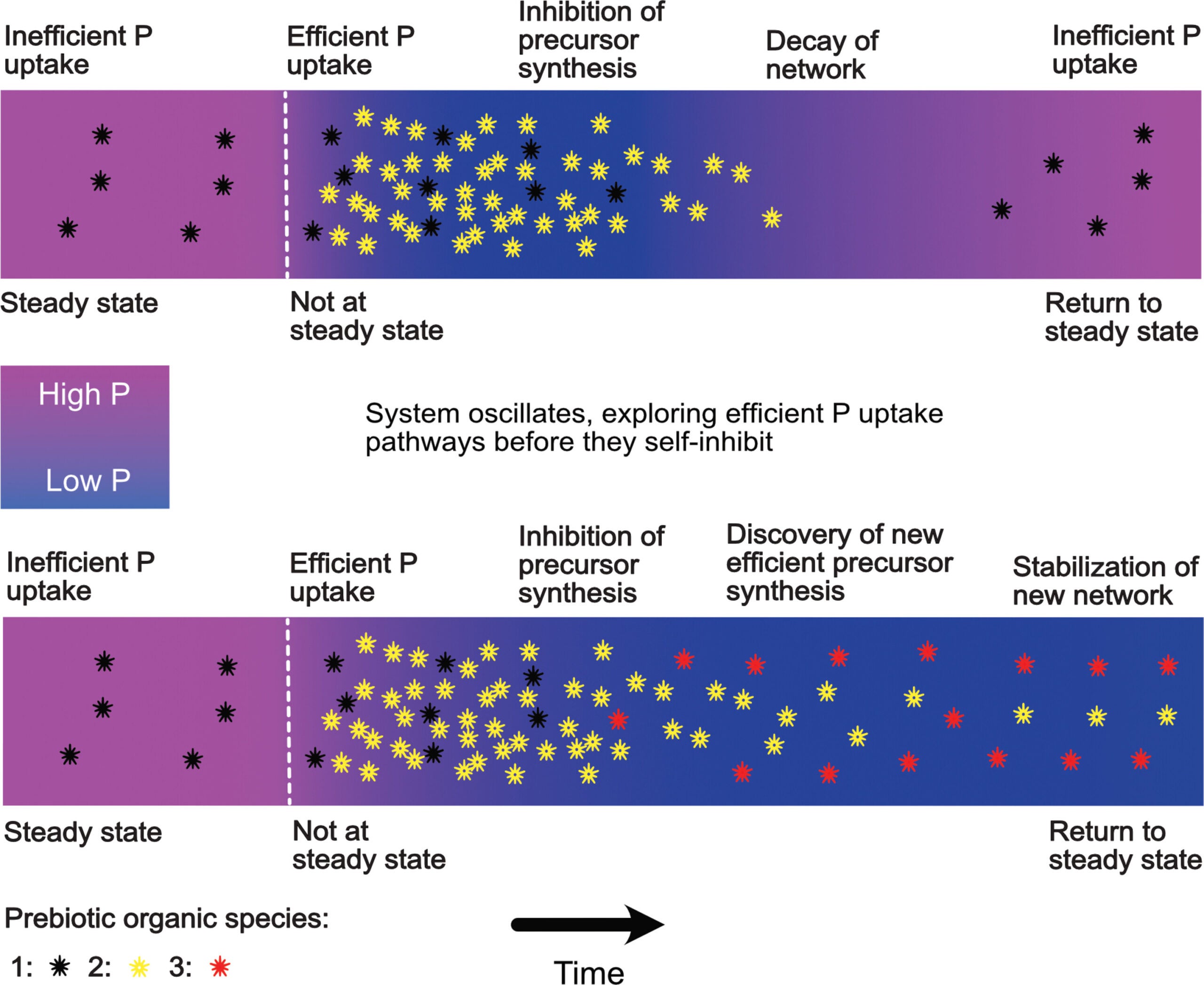 Self-inhibition of upstream and downstream chemistry in closed basins.