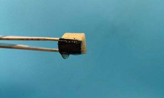 A pair of tweezers squeezes water from the spongy material developed by the team.