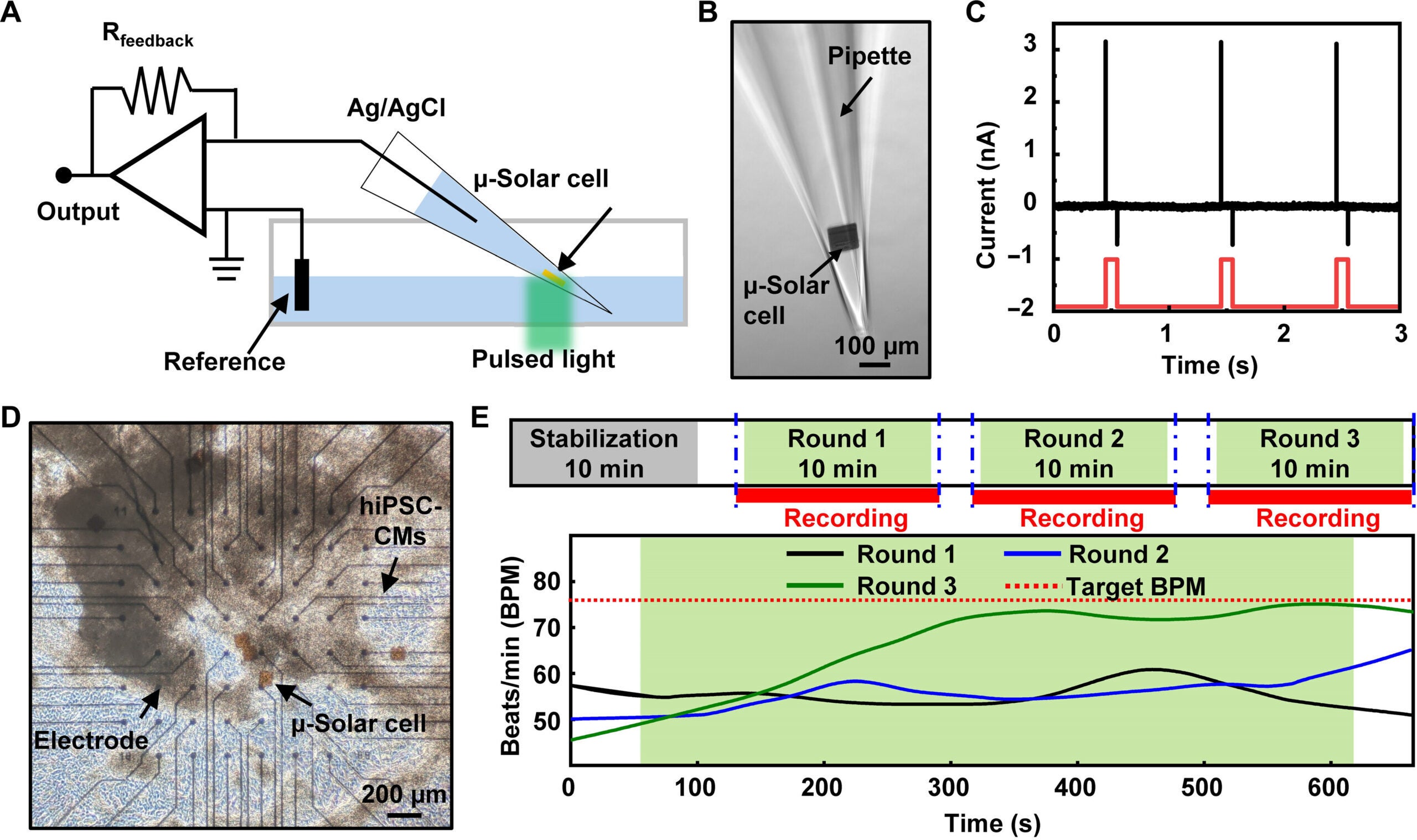 μ-Solar cell characteristics and direct stimulation of CMs.