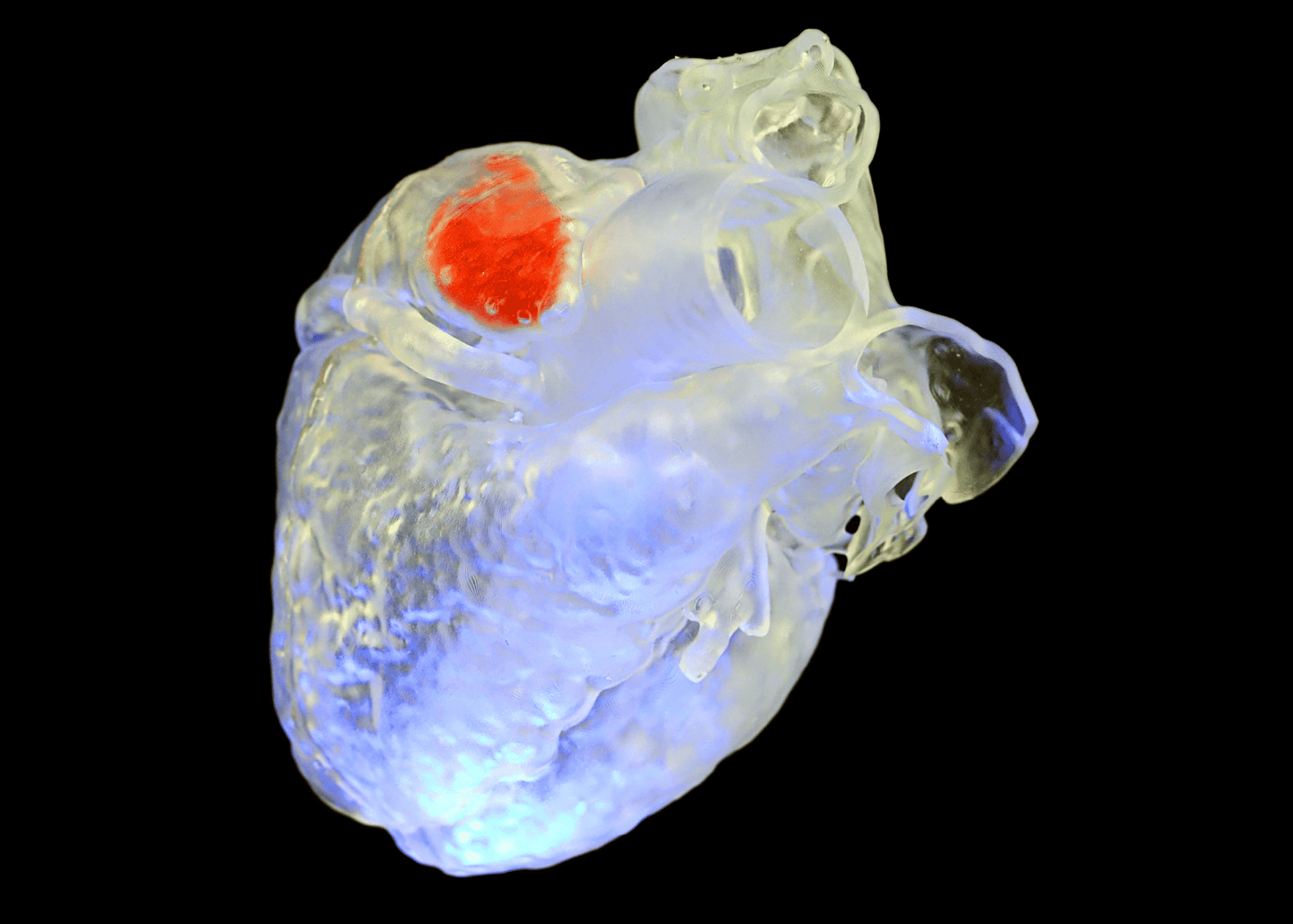Scientists create 3D-printed, light-sensitive tissue to safely boost heartbeats without wires or surgery.