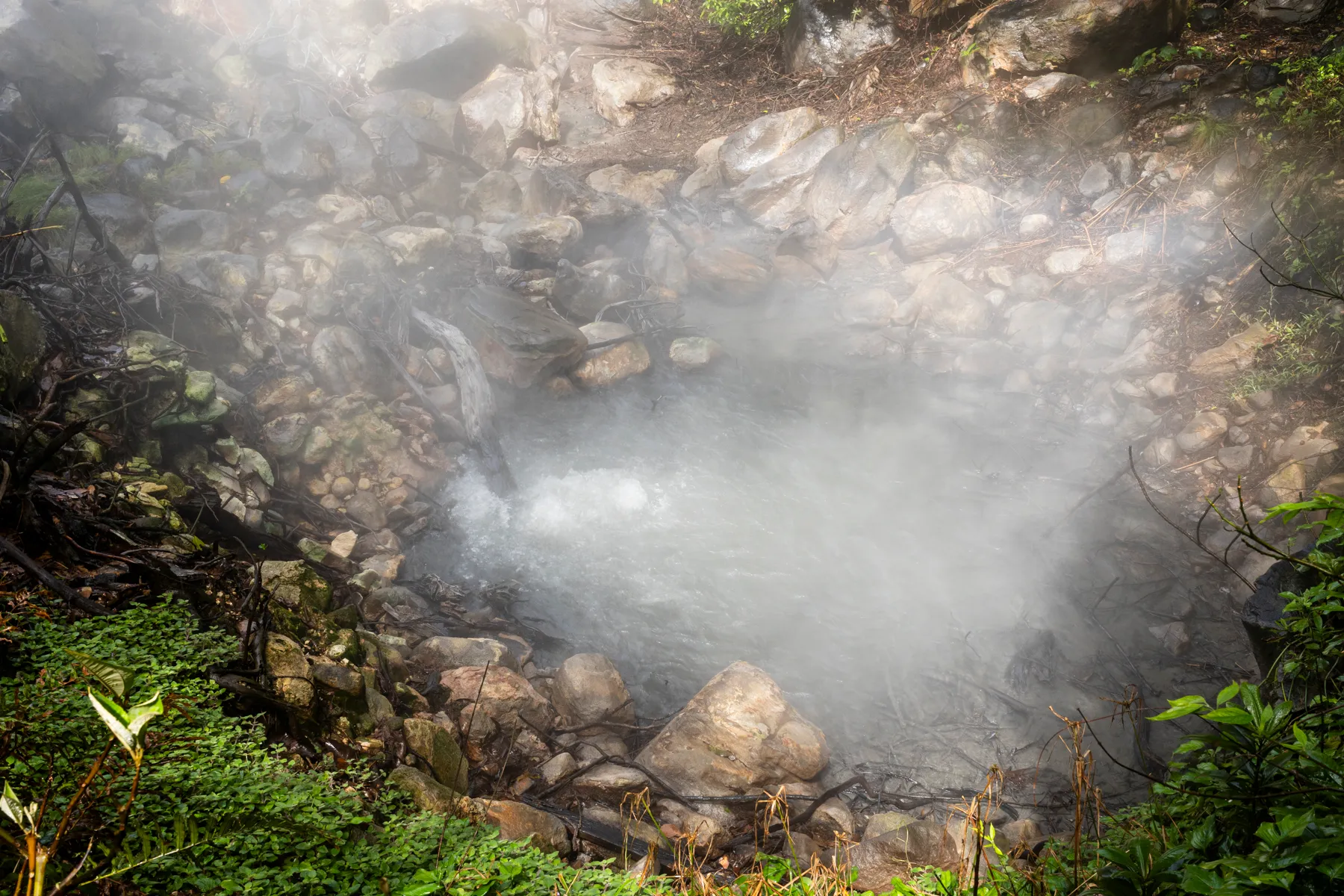 Carbon dioxide released by rising magma bubbles up and heats a pool of water in Costa Rica near the Rincón de la Vieja volcano. Increases in volcanic gases could be a sign that a volcano is becoming more active. 